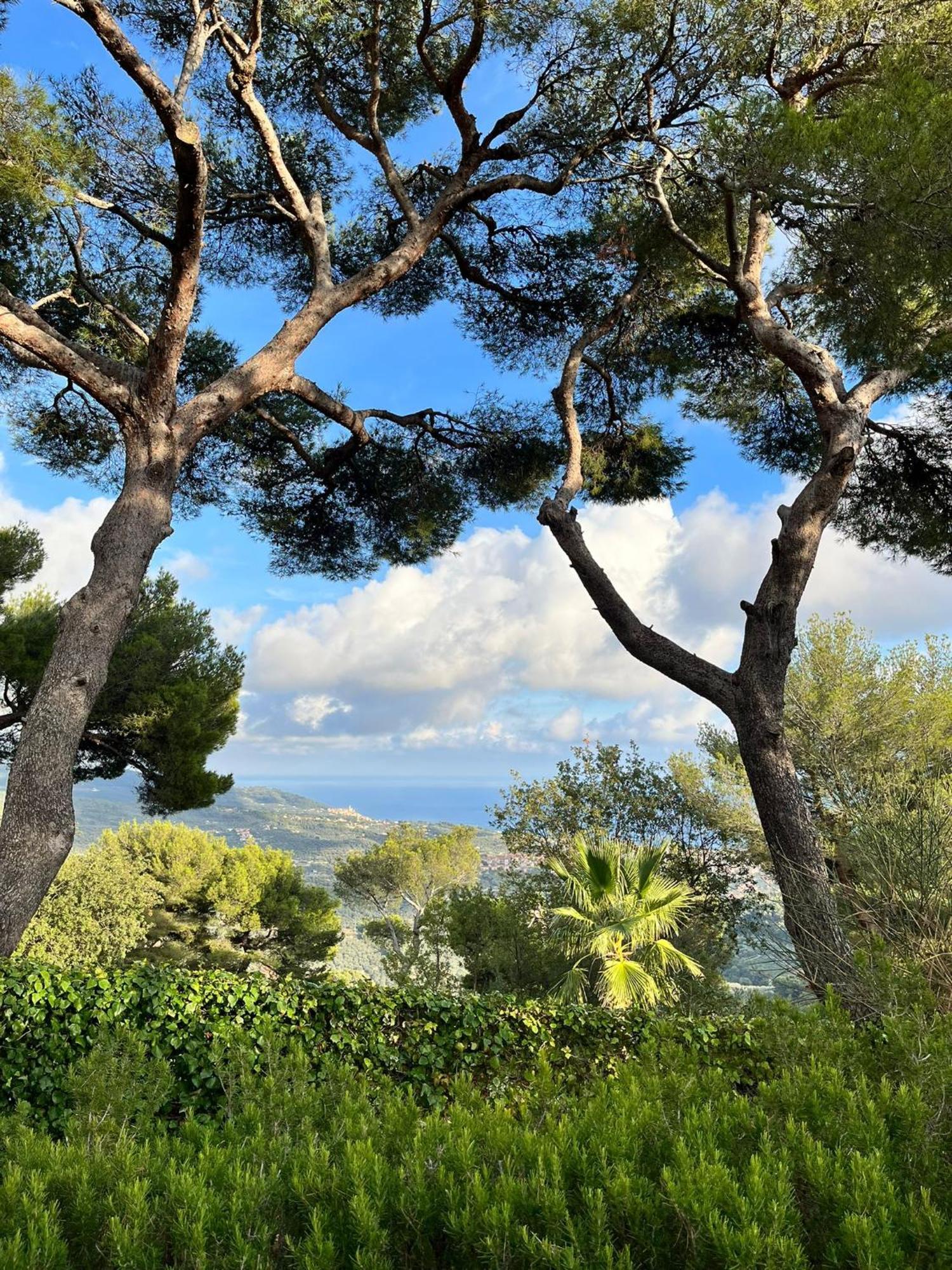 Casa Merea 16 Costa d'Oneglia 외부 사진